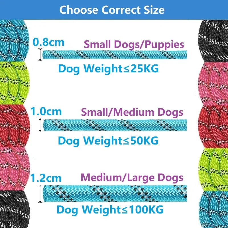 🐾 Laisse Robuste et Confortable pour Chiens – 120/150/200/300 CM 🐶✨