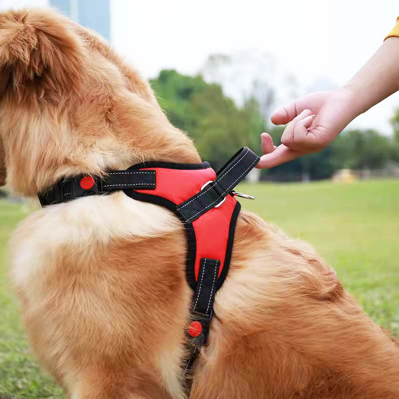 🐾 Harnais Réfléchissant Ajustable – Promenades en Toute Sécurité 🐶✨