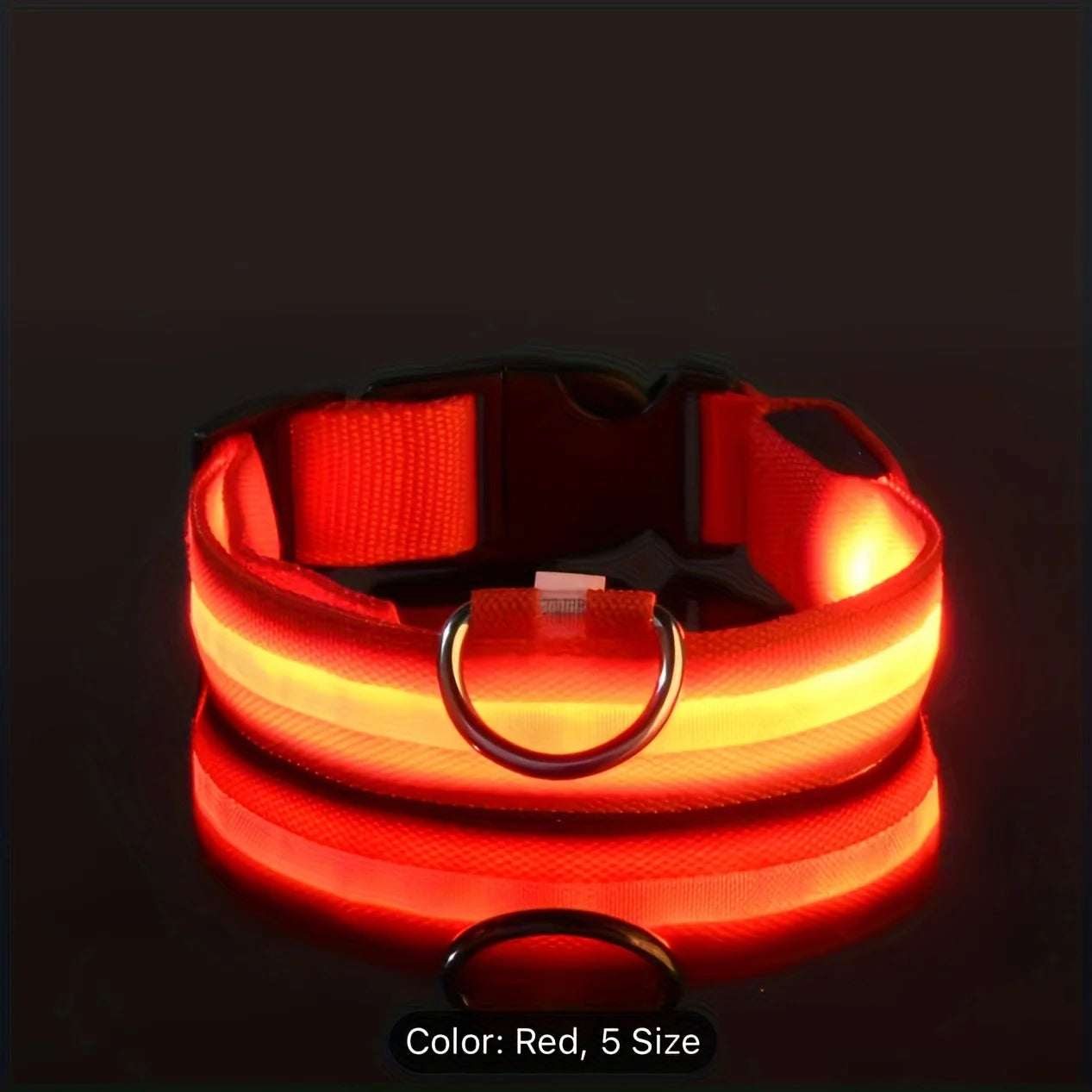 🐾 Collier LED Réfléchissant pour la Sécurité Nocturne