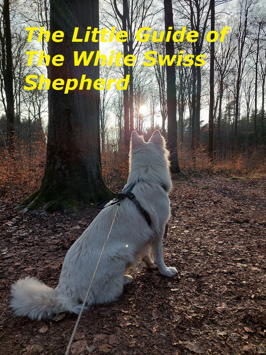 The Small Guide of the White Swiss Shepherd