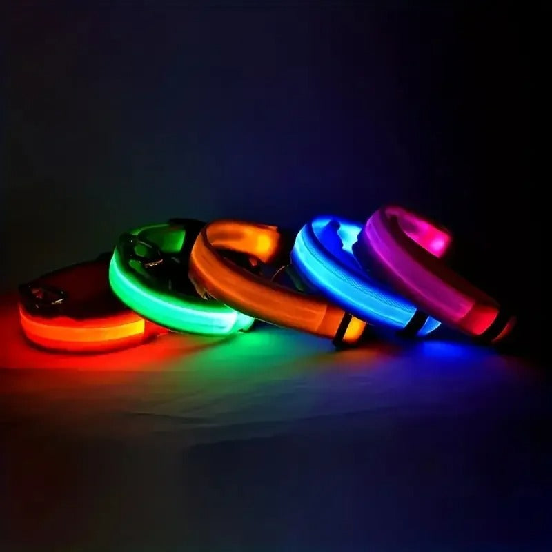 🐾 Collier LED Réfléchissant pour la Sécurité Nocturne